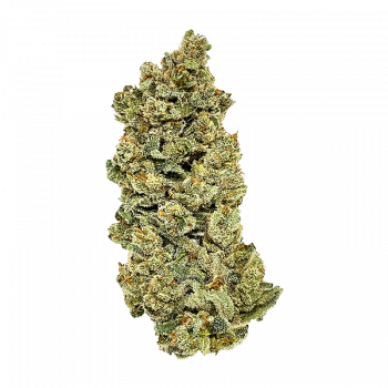 CHEM D AUTO กัญชา ซื้อขายกัญชา ซื้อกัญชา ขายกัญชา ดอกกัญชา กัญชาใกล้ฉัน weed cannabis