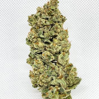 CHEM D AUTO กัญชา ซื้อขายกัญชา ซื้อกัญชา ขายกัญชา ดอกกัญชา กัญชาใกล้ฉัน weed cannabis