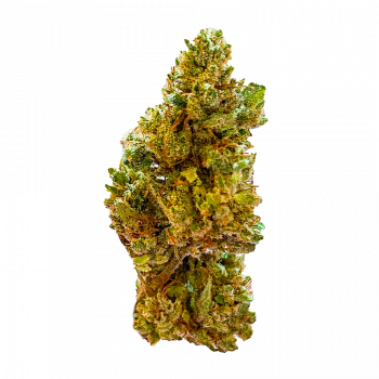 HAWAIIAN HAZE (CBD) กัญชา ซื้อขายกัญชา ซื้อกัญชา ขายกัญชา ดอกกัญชา กัญชาใกล้ฉัน weed cannabis