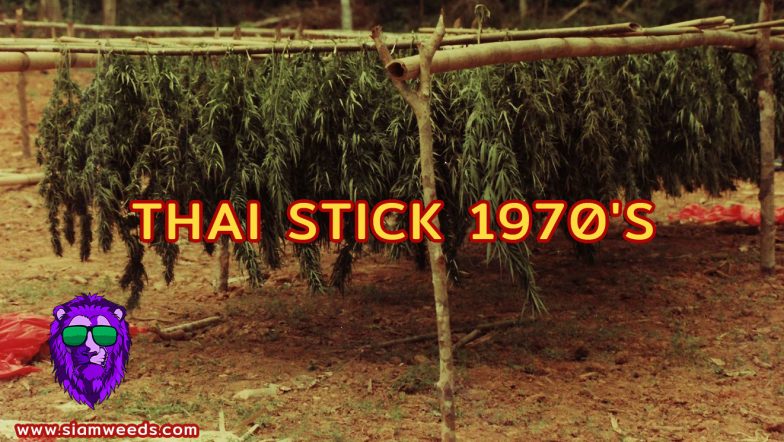 THAI STICK 1970'S กัญชา ซื้อขายกัญชา ซื้อกัญชา ขายกัญชา ดอกกัญชา กัญชาใกล้ฉัน weed cannabis