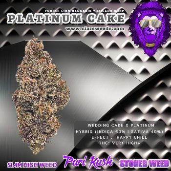 platinum cake - in house genetics กัญชา ซื้อขายกัญชา ซื้อกัญชา ขายกัญชา ดอกกัญชา กัญชาใกล้ฉัน weed cannabis