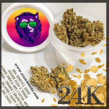 24K Gold