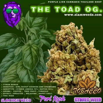 The Toad