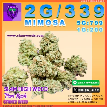 MIMOSA-1