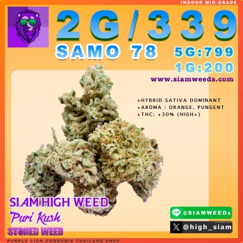 SAMO 78 - 2
