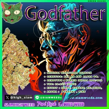 GODFATHER OG. -3