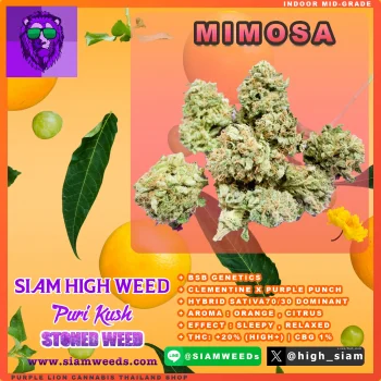 MIMOSA-3