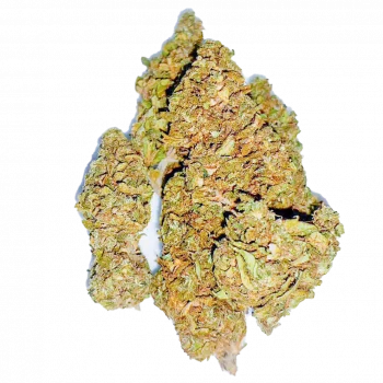 GODFATHER OG. -2