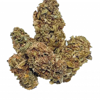 BLUE DREAM | HUMBOLDT | GREEN HOUSE