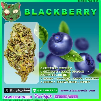 BLACKBERRY -2