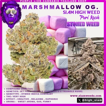 MARSHMALLOW OG -2