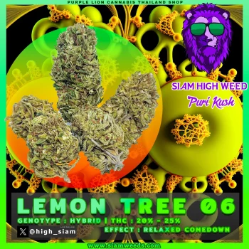 LEMON TREE 06