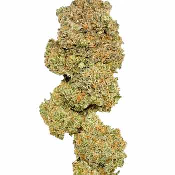 STRAWBERRY BANANA CREAM S1