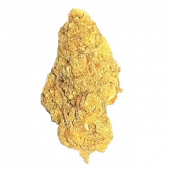 COOKIE OG. -1