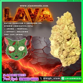 LAVA OG.