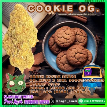 COOKIE OG. -3