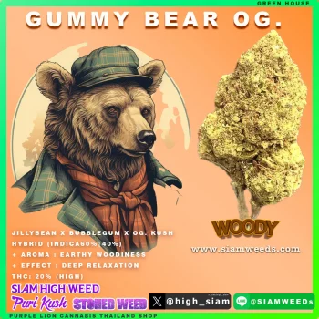 GUMMY BEAR OG.