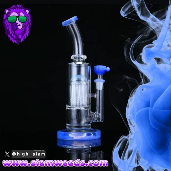 BONG HYDROZOA STRAIGHT GLASS 25CM. - Image 2