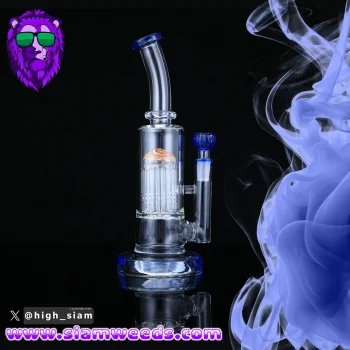 BONG HYDROZOA STRAIGHT GLASS 25CM. - Image 3