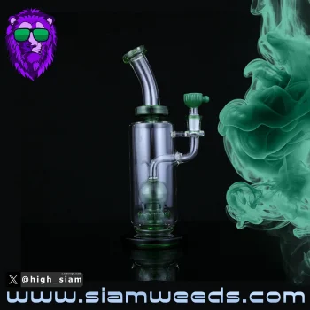 BONG NODULE STRAIGHT GLASS 25CM. - Image 4