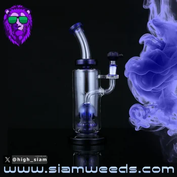 BONG NODULE STRAIGHT GLASS 25CM. - Image 3