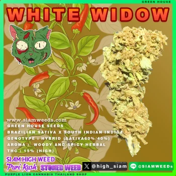 WHITE WIDOW