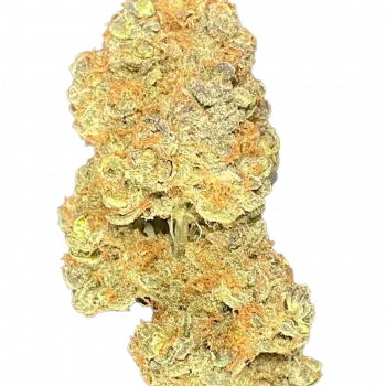 APPLE FRITTER  - Image 3