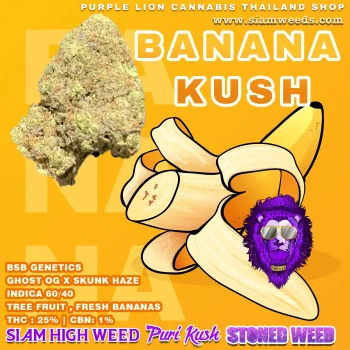 BANANA KUSH 🍌 - Image 2
