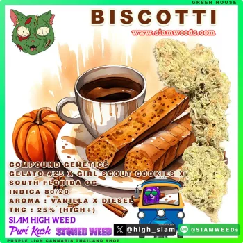 BISCOTTI 🍦 - Image 2
