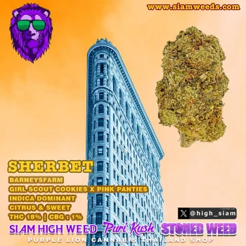SHERBET