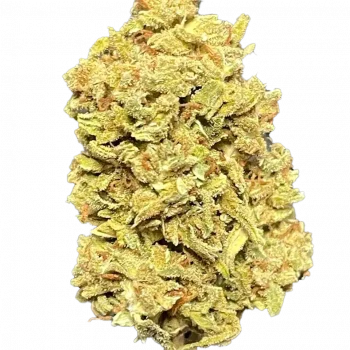 LILAC DIESEL - Image 3
