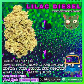 LILAC DIESEL - Image 2