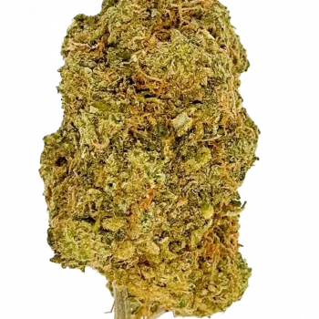 SHERBET