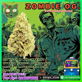 ZOMBIE OG. 🧟‍♂️ - Image 3