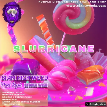 SLURRICANE