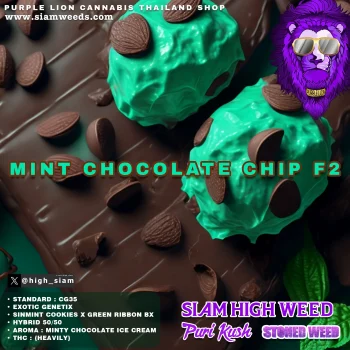 MINT CHOCOLATE CHIP F2