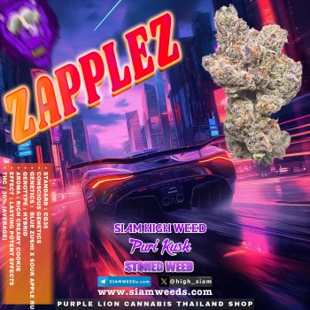 ZAPPLEZ