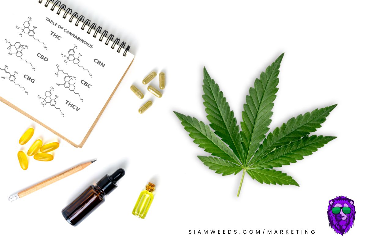 CANNABIS-DIGITAL-MARKETING-1