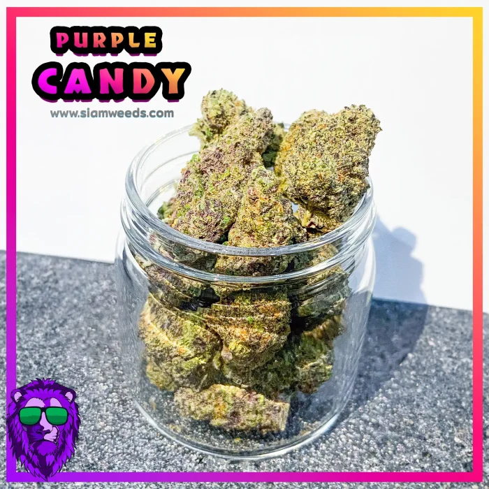 PURPLE-CANDY-info-1