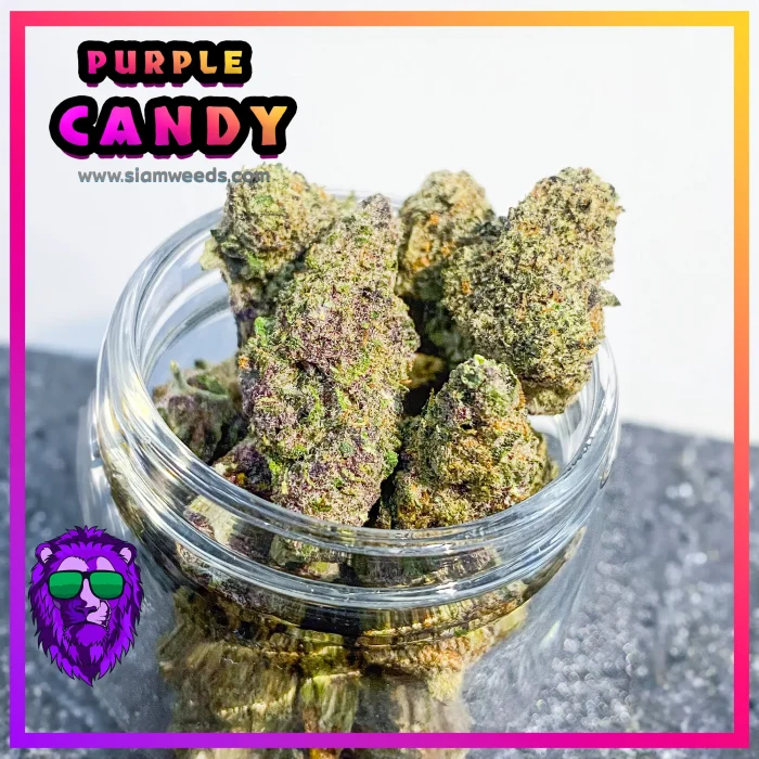 PURPLE-CANDY-info-2