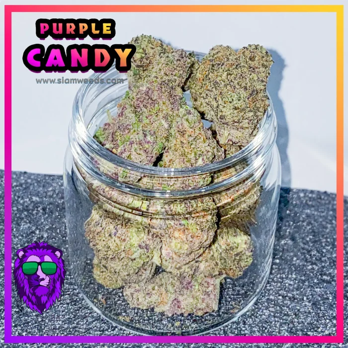 PURPLE-CANDY-info-3