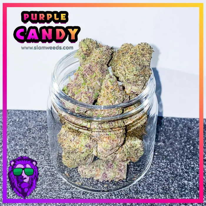 PURPLE-CANDY-info-4