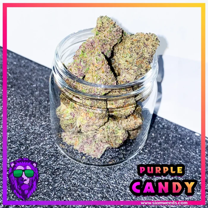 PURPLE-CANDY-info-5