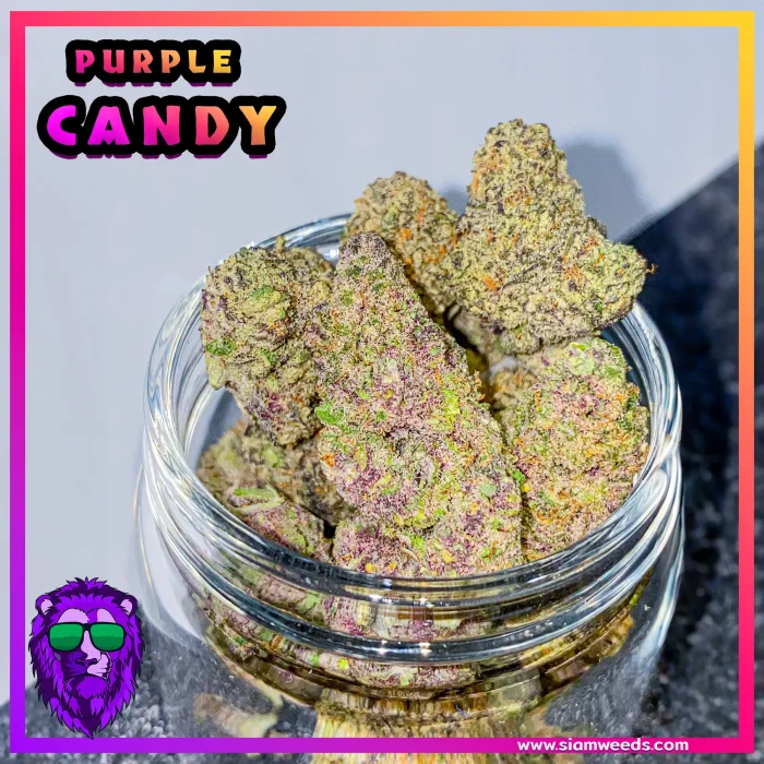 PURPLE-CANDY-info-6