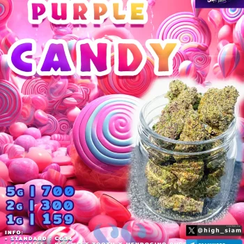 PURPLE-CANDY-2