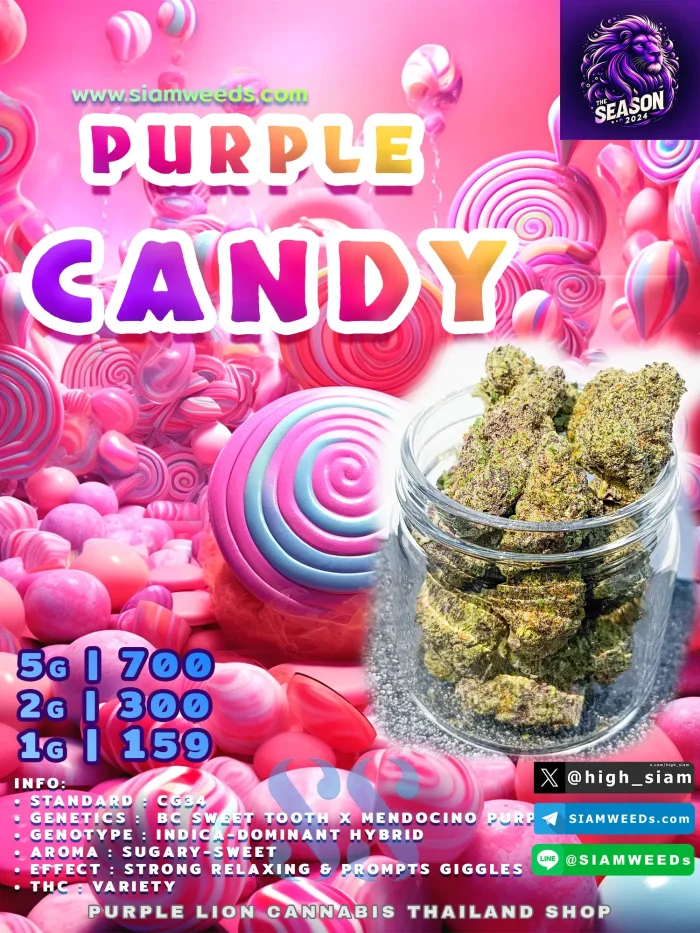 PURPLE-CANDY-2