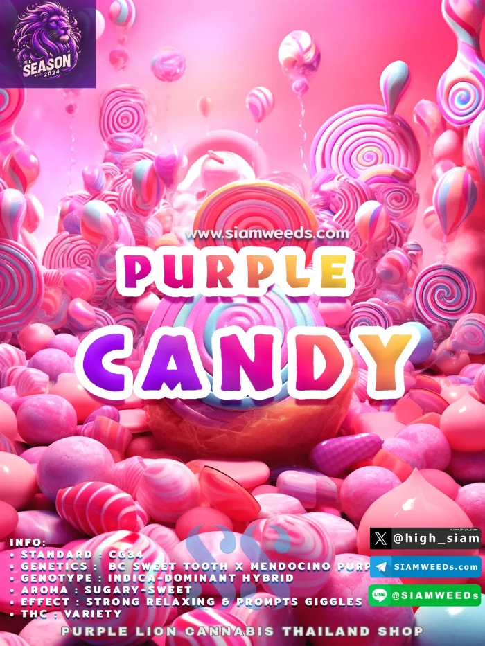 PURPLE-CANDY-3