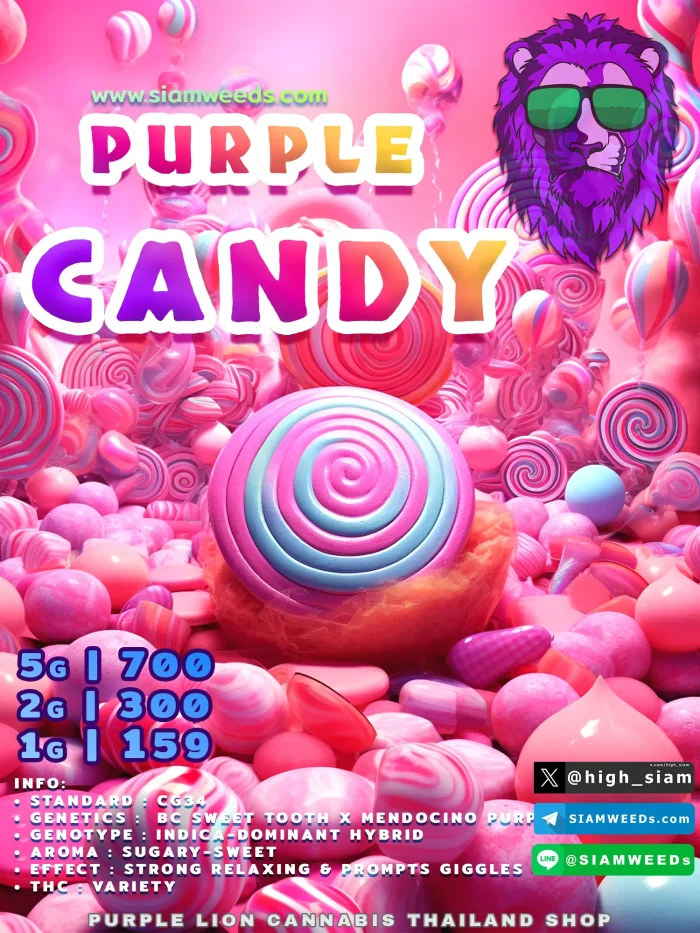 PURPLE-CANDY-1